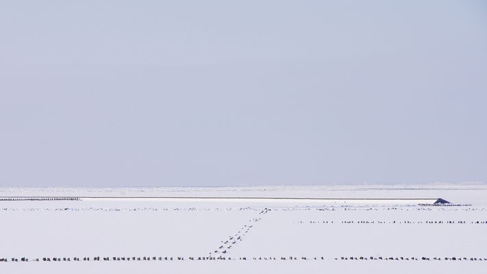 bildmitwenigdrauf...XXIV