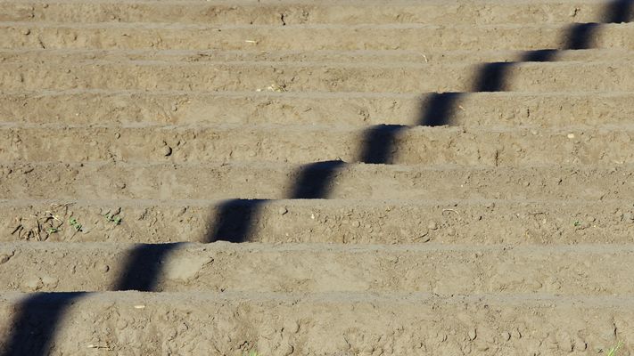 bildmitwenigdrauf...XXVI