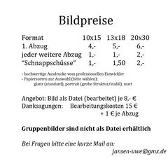 Bildpreise 2016