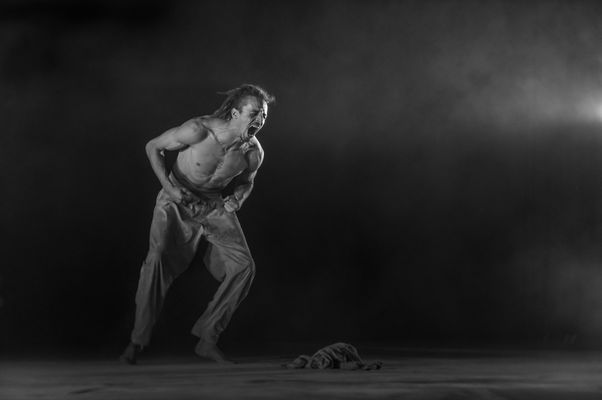 BildspracheTANZ / ariasjoker