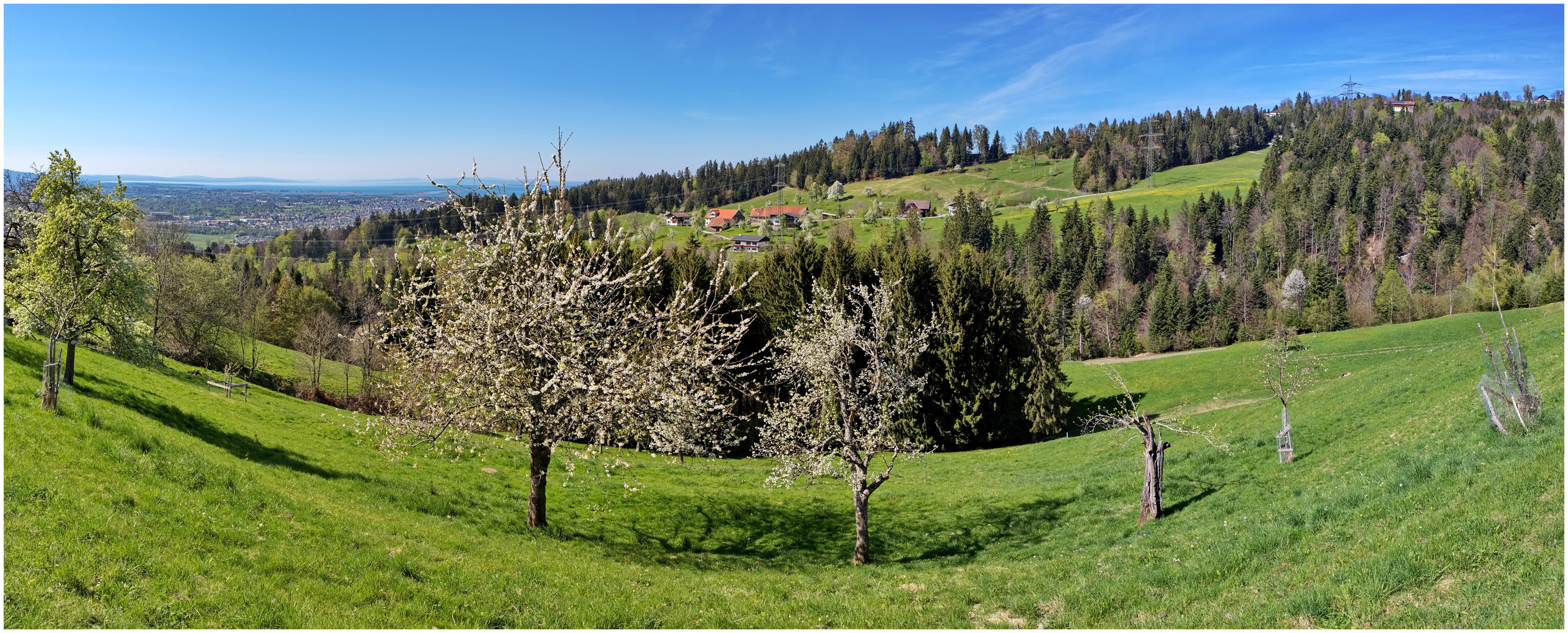 Bildstein 2022-04-18 Landschaftspanorama