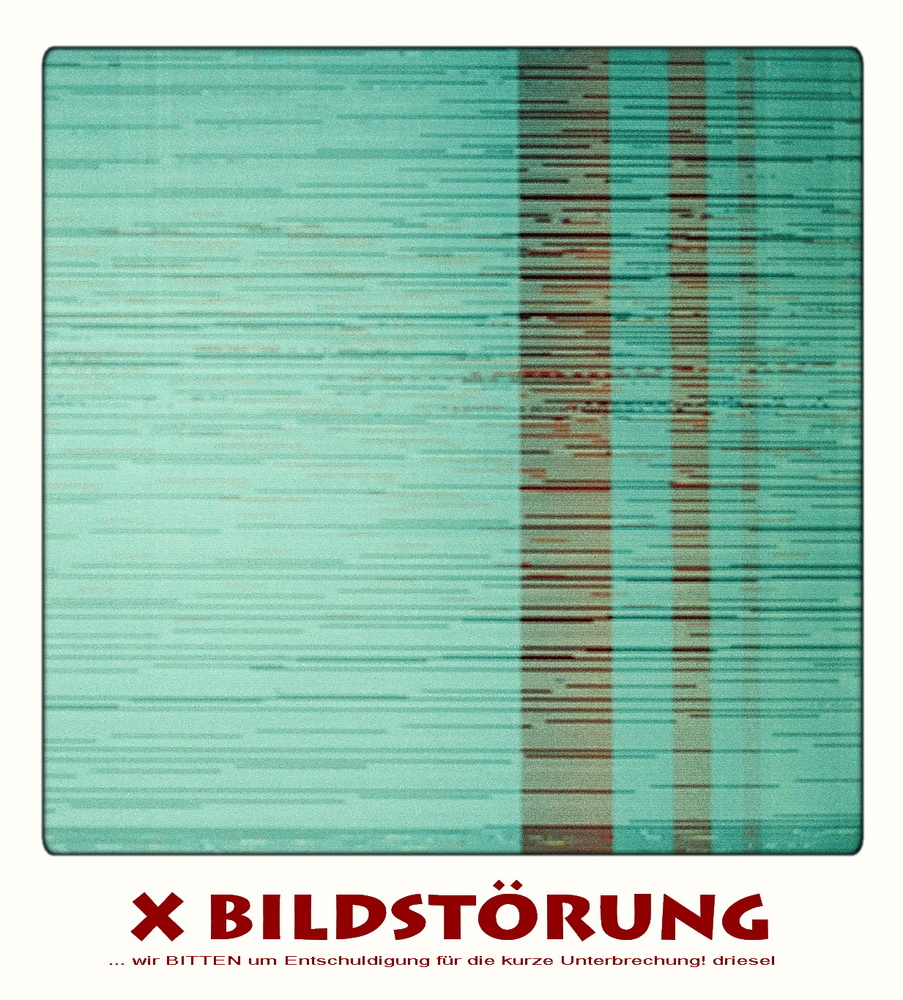 Bildstörung! foto: driesel