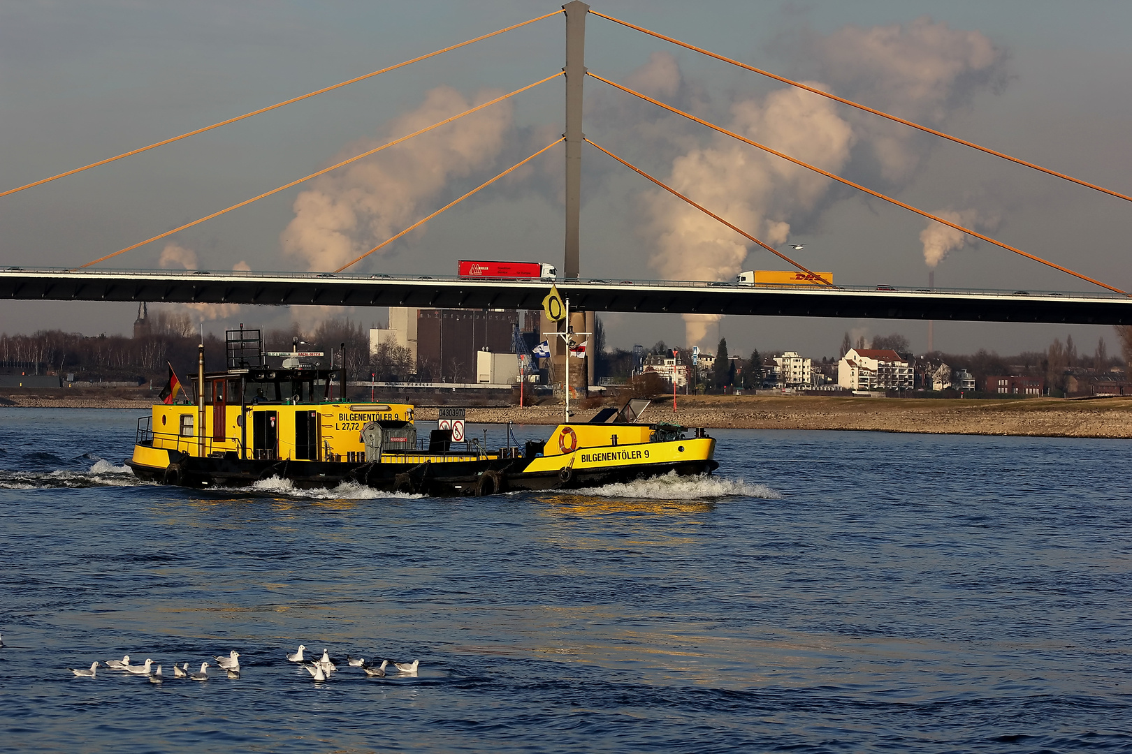 Bilgenentöler auf dem Rhein 