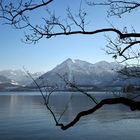 Bilick zum Niesen am Thunersee