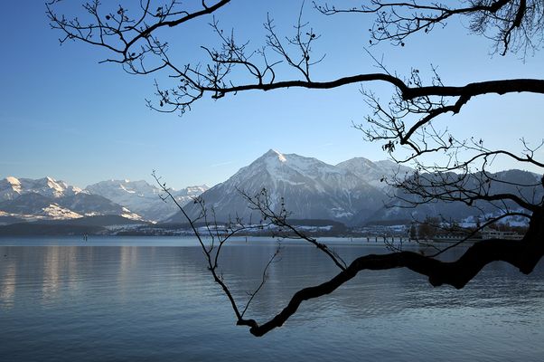 Bilick zum Niesen am Thunersee