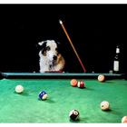 Billard