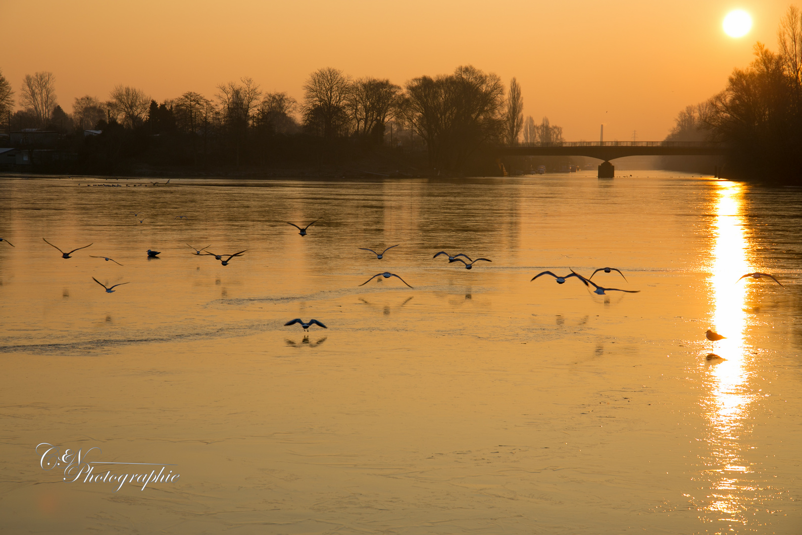 Billerhuder Insel Foto & Bild landschaft, bach, fluss & see, flüsse