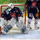 billy thomson ,goalie from amiens (francia)