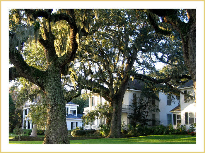 Biloxi, Mississippi ~ better days ~