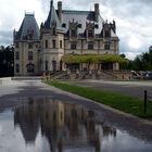 Biltmore Estate ( Ashville, NC, USA)