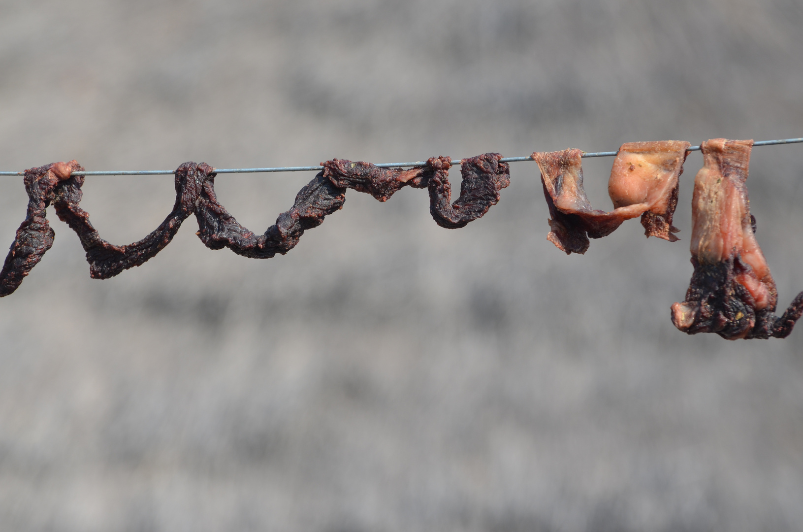 "Biltong". Getrocknetes Antilopen- und Rindfleisch (Nord-Namibia)