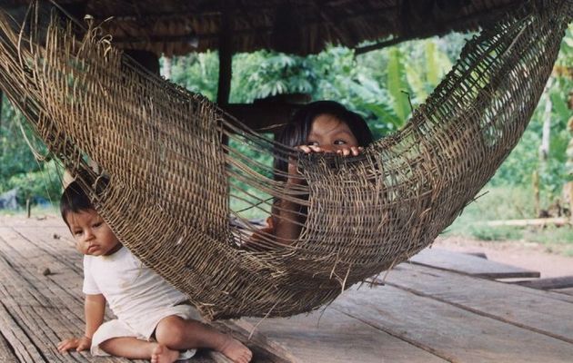 bimbi ashaninka amazzonia