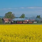 Bimmelbahnfrühling