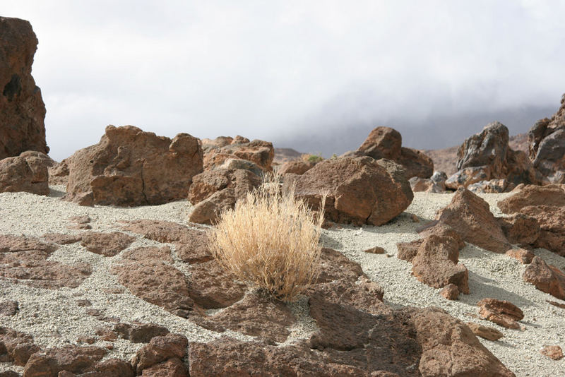 Bimshalden am Teide