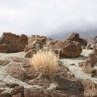 Bimshalden am Teide