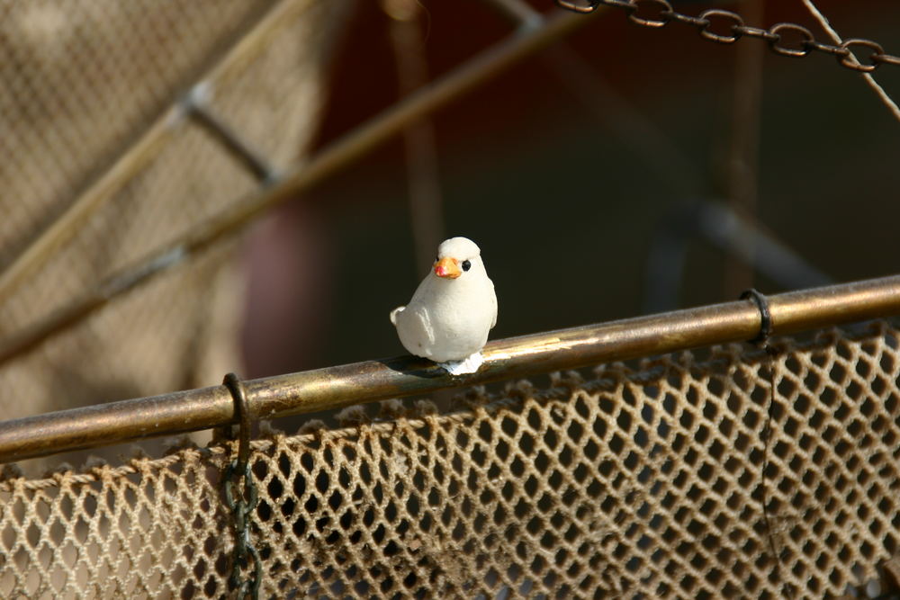 Bin an Bord, können jetzt ablegen.