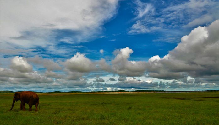 Bin dann mal weg....
