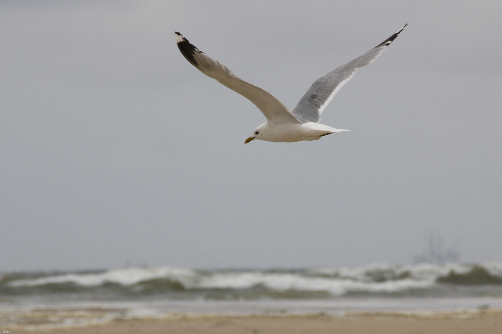 ...bin dann mal weg ....