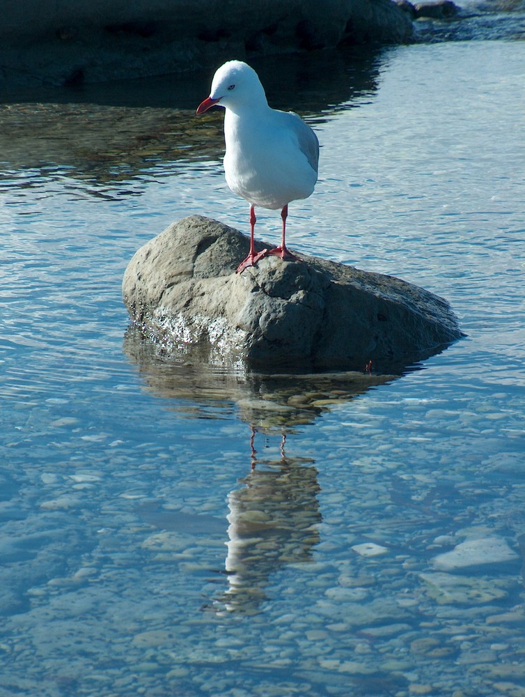 "... bin das ich?!"