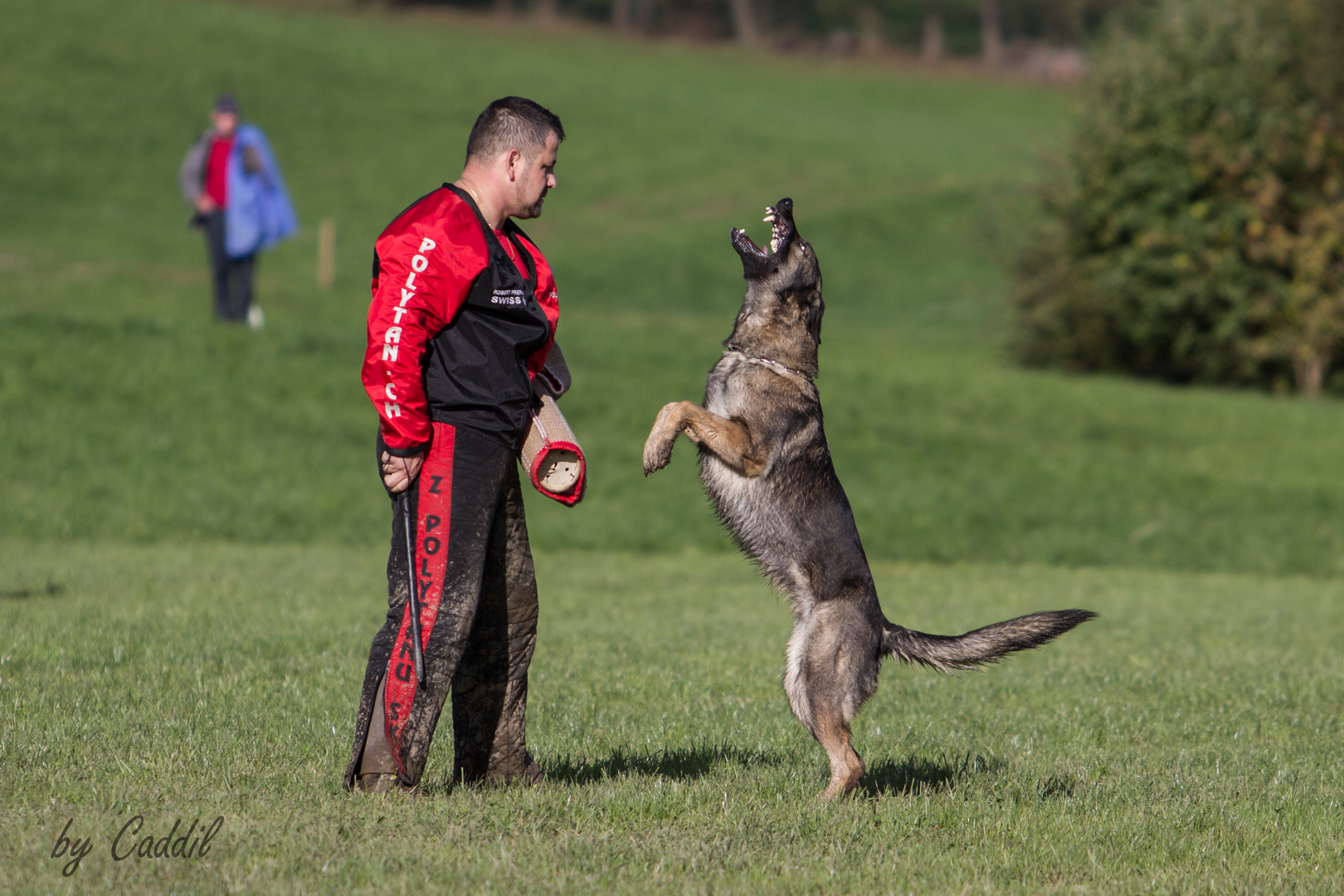 Bin fast gleichgross........