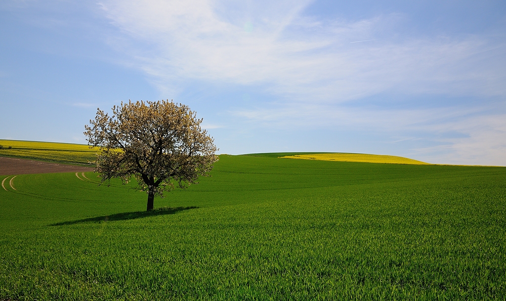 Bin gespannt welches Foto euch besser gefällt, unten das oder das hier, habe mir ...