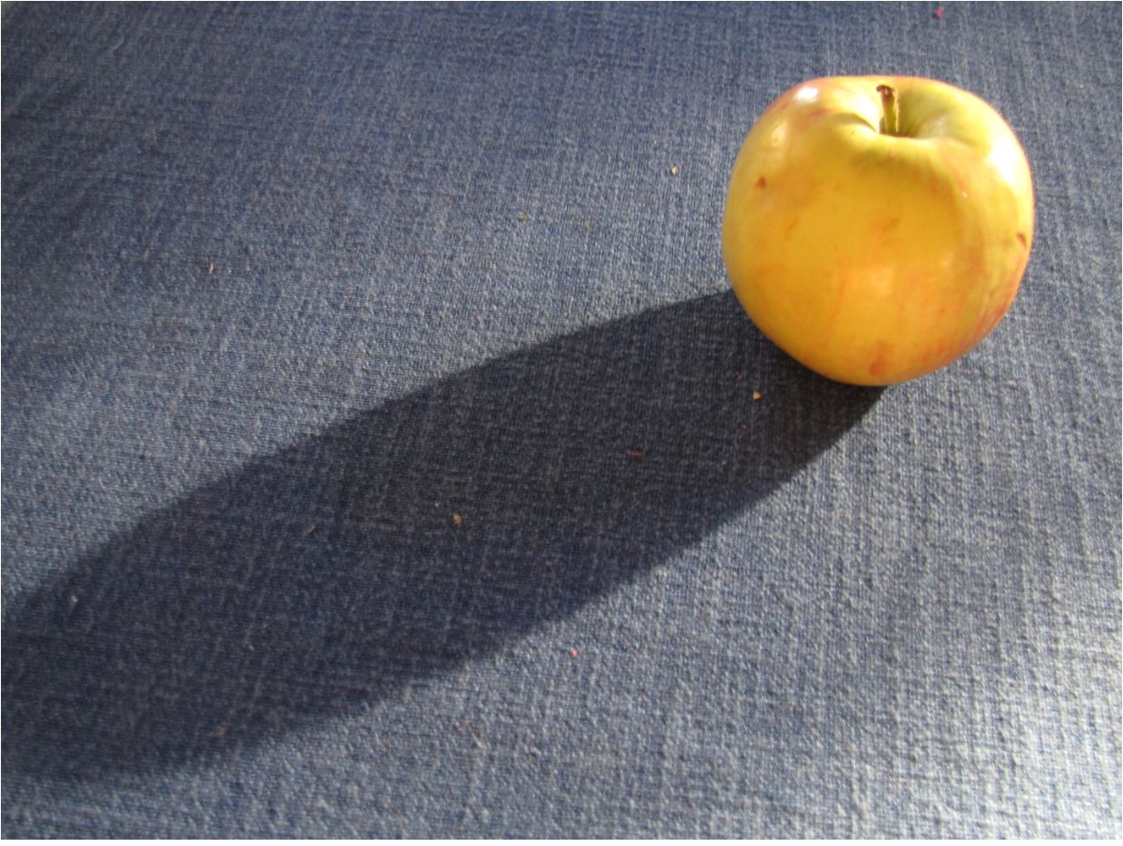"Bin ich aber groß" sagt der Apfel