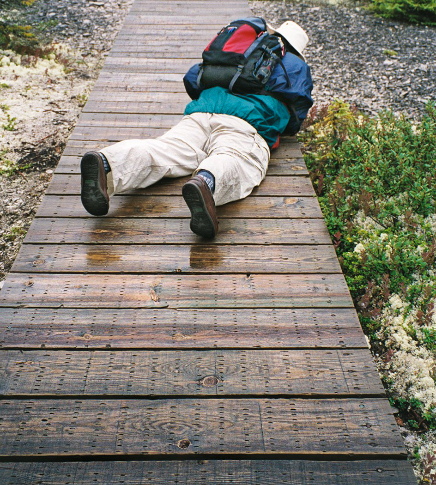 Bin ich auf dem Holzweg?