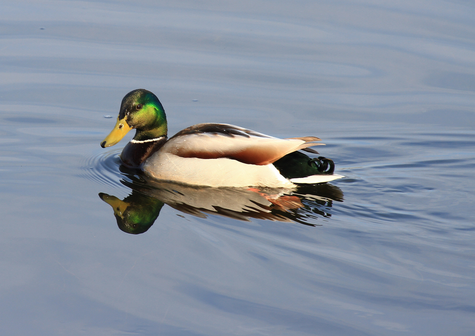 Bin ich das da im Wasser?