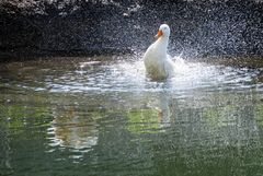 bin ich das wirklich?