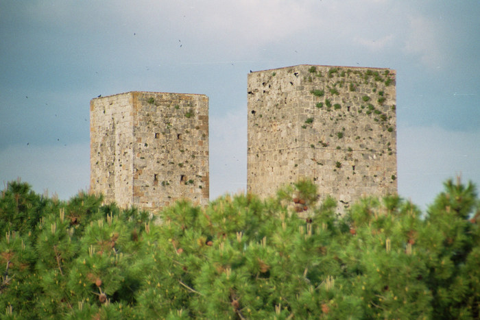 "Bin ich ein Falke, ein Turm oder ein endloser Gesang ..." (R.M.Rilke)