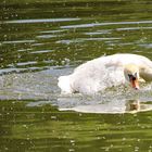 Bin ich es wirklich?