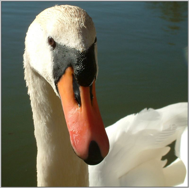 Bin ich fotogen genug?