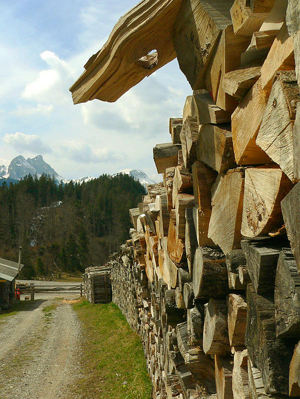 Bin ich hier auf dem Holzweg?