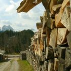 Bin ich hier auf dem Holzweg?