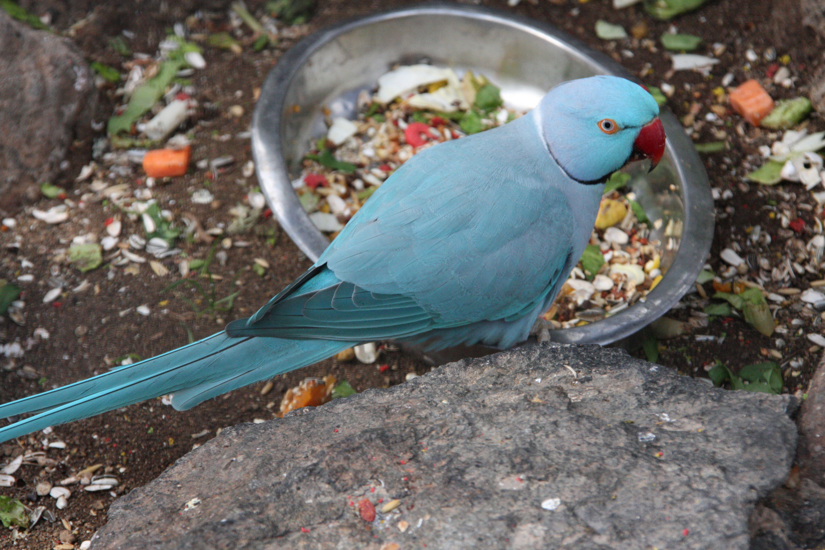 Bin ich nich ... ähm blau?