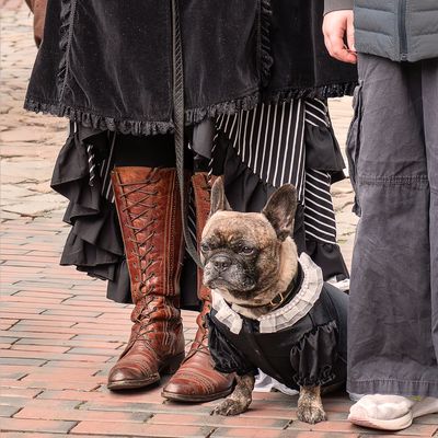 "Bin ich nicht chic?"