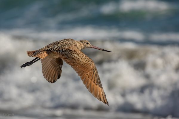 bin ich nicht wunderschön....?