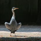 Bin ich schön ??