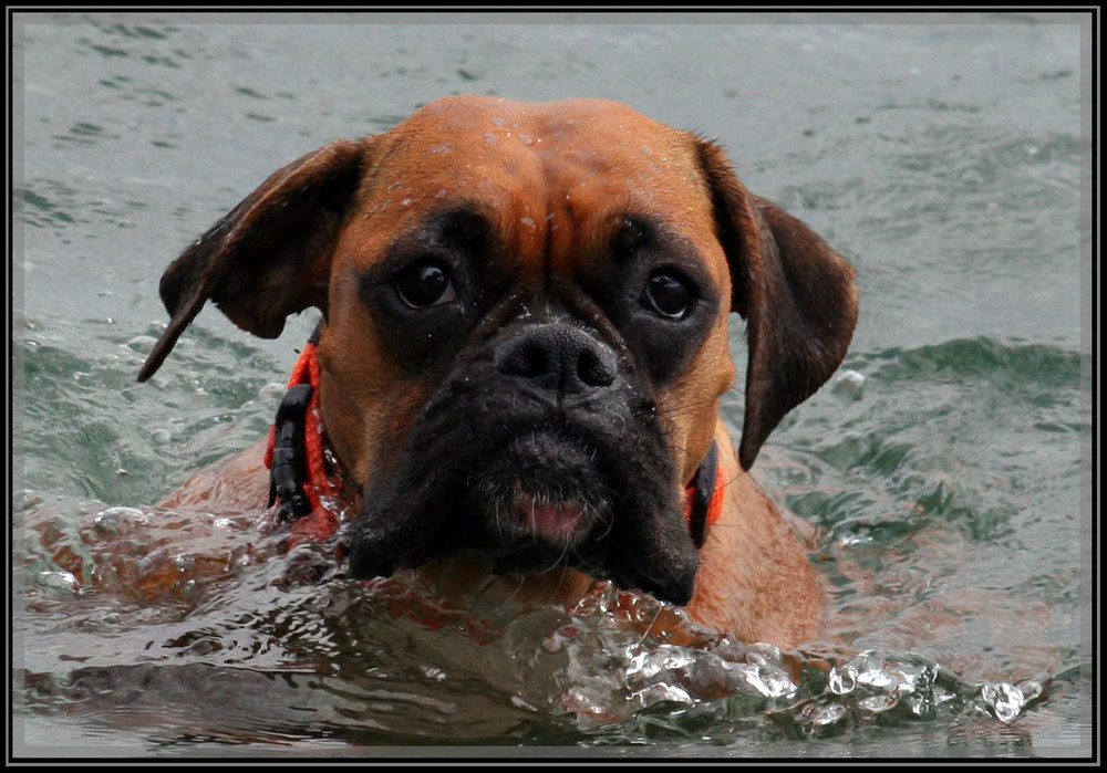 Bin immer noch Schwimmen