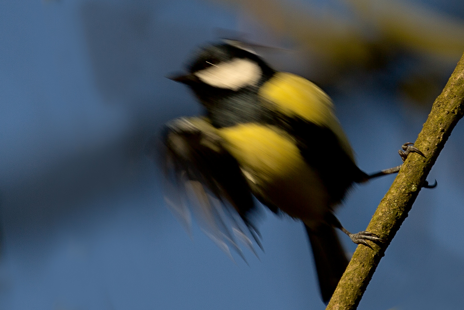 Bin in Eile, der Frühling steht vor der Tür