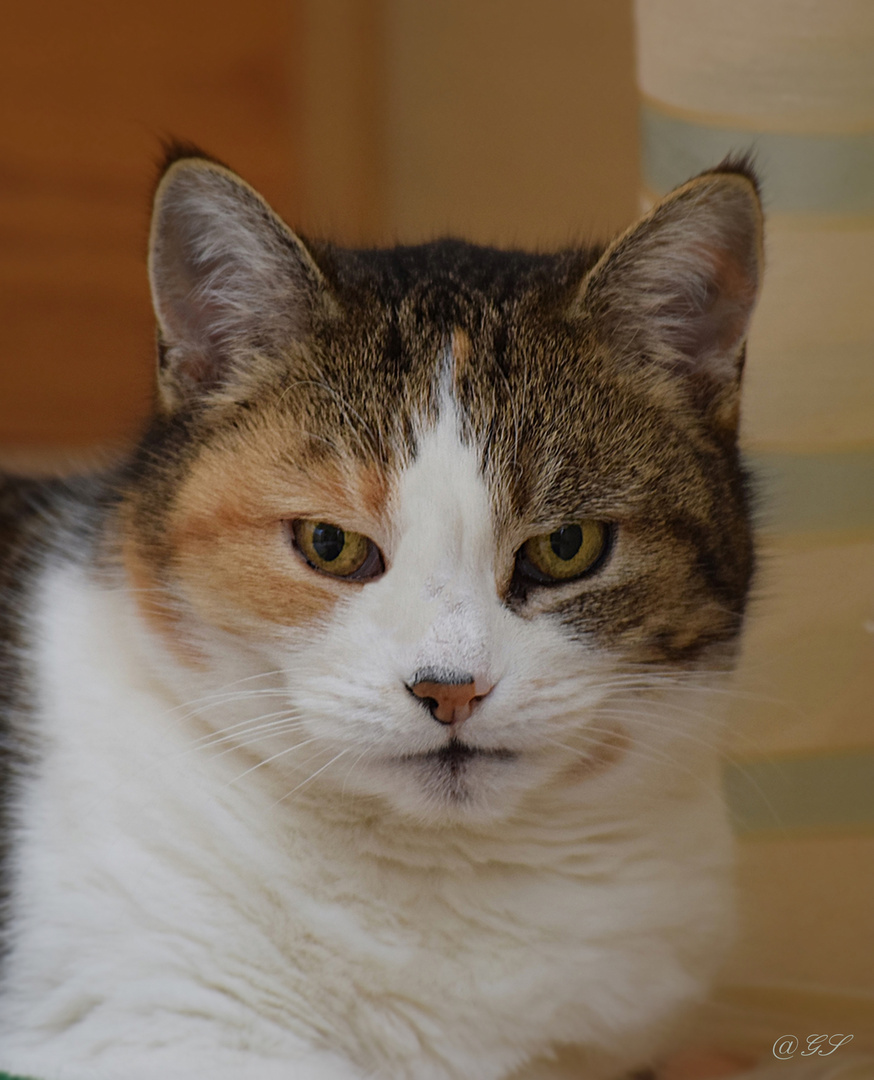 Bin Sauer Bilder Bin Sauer Bilder