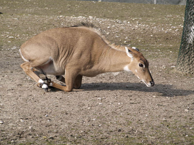 Bin schon Frühjahrsmüde