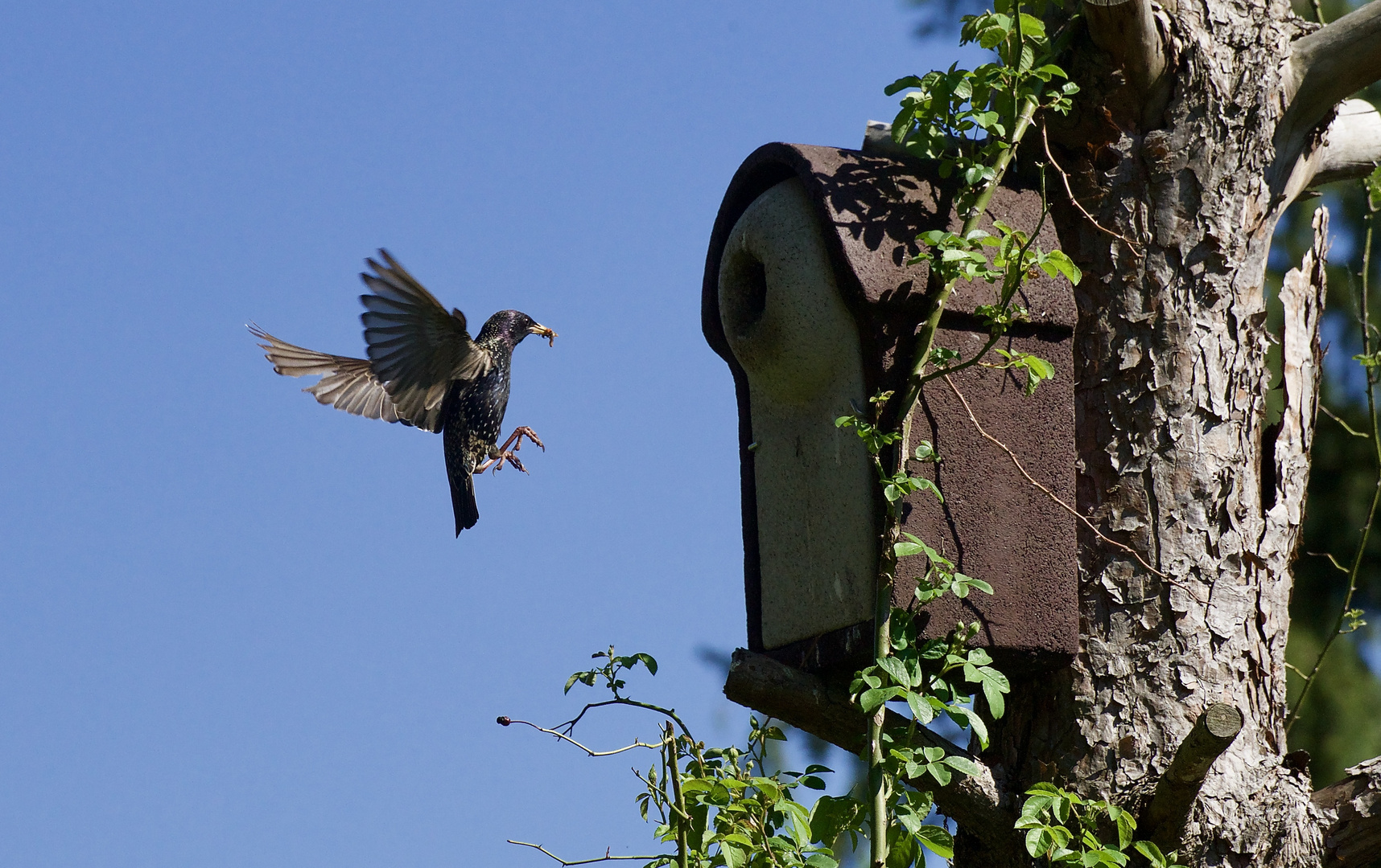 Bin schon im Anflug...Ruhe bewahren