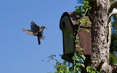 Bin schon im Anflug...Ruhe bewahren