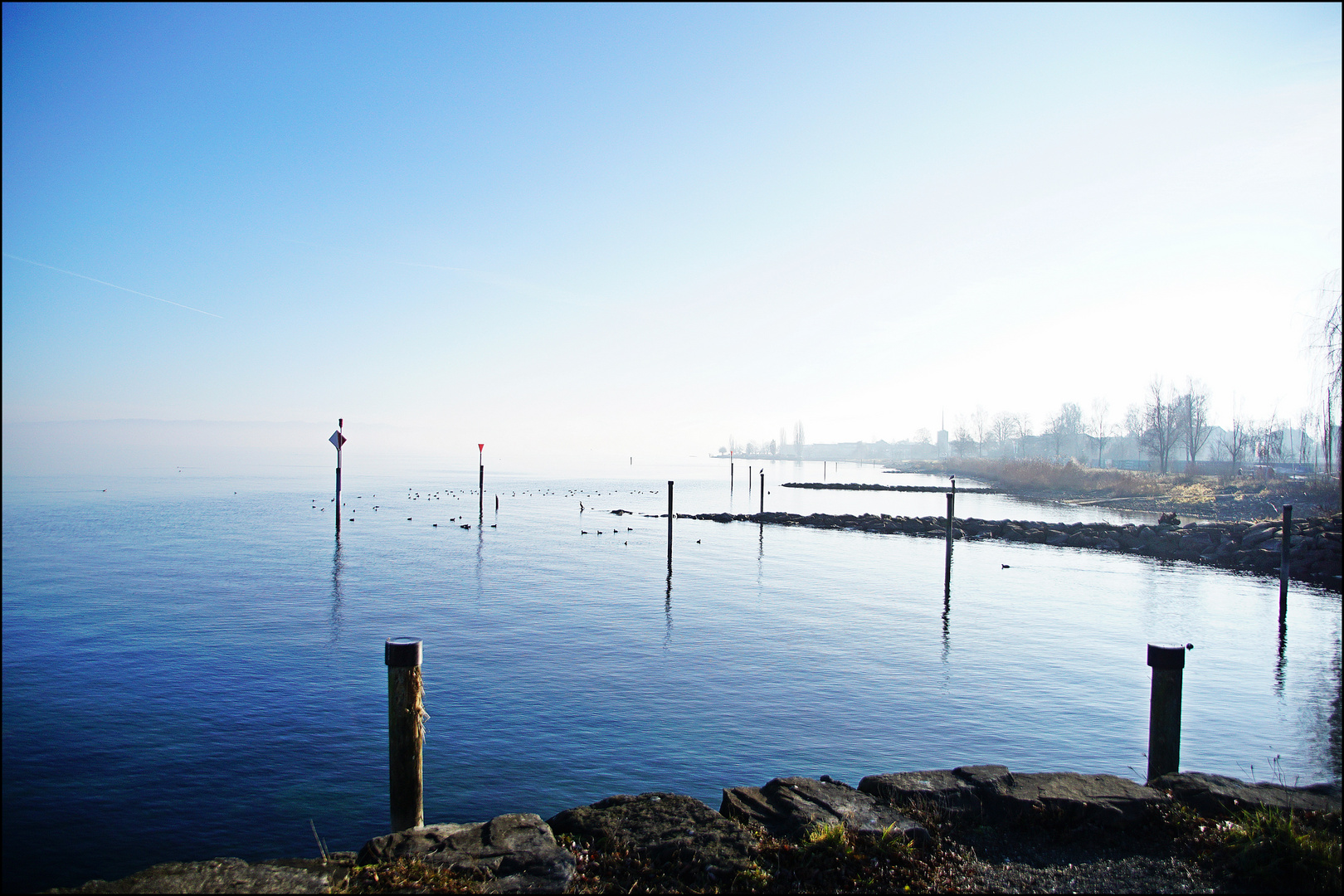 Bin wieder zurück am See