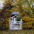 .......bin wieder zurück aus einem herbstlichen Schweden..................