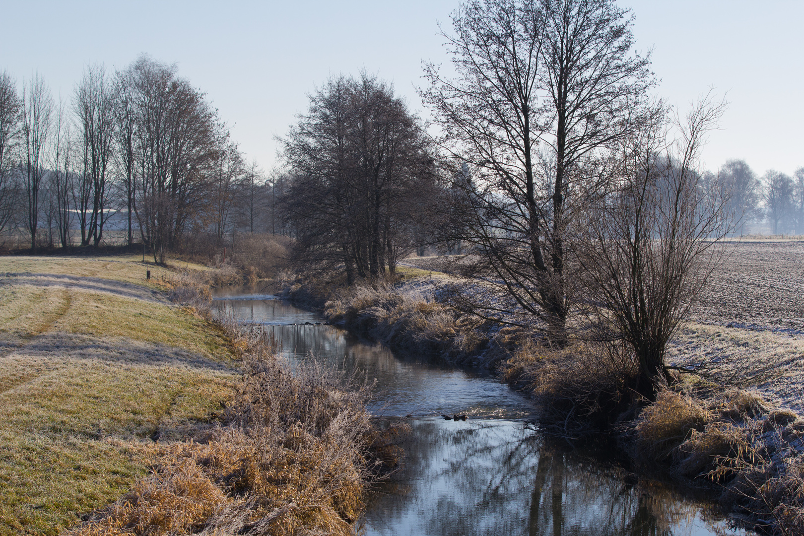 Bina Bachlauf