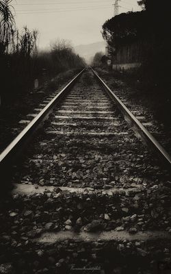 … binario sperduto e solitario ….