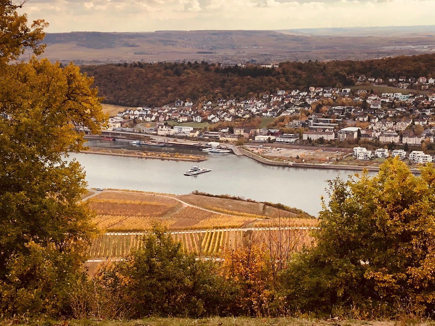 Bingen am Rhein Foto & Bild | world, deutschland, europe Bilder auf fotocommunity