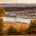 Bingen am Rhein